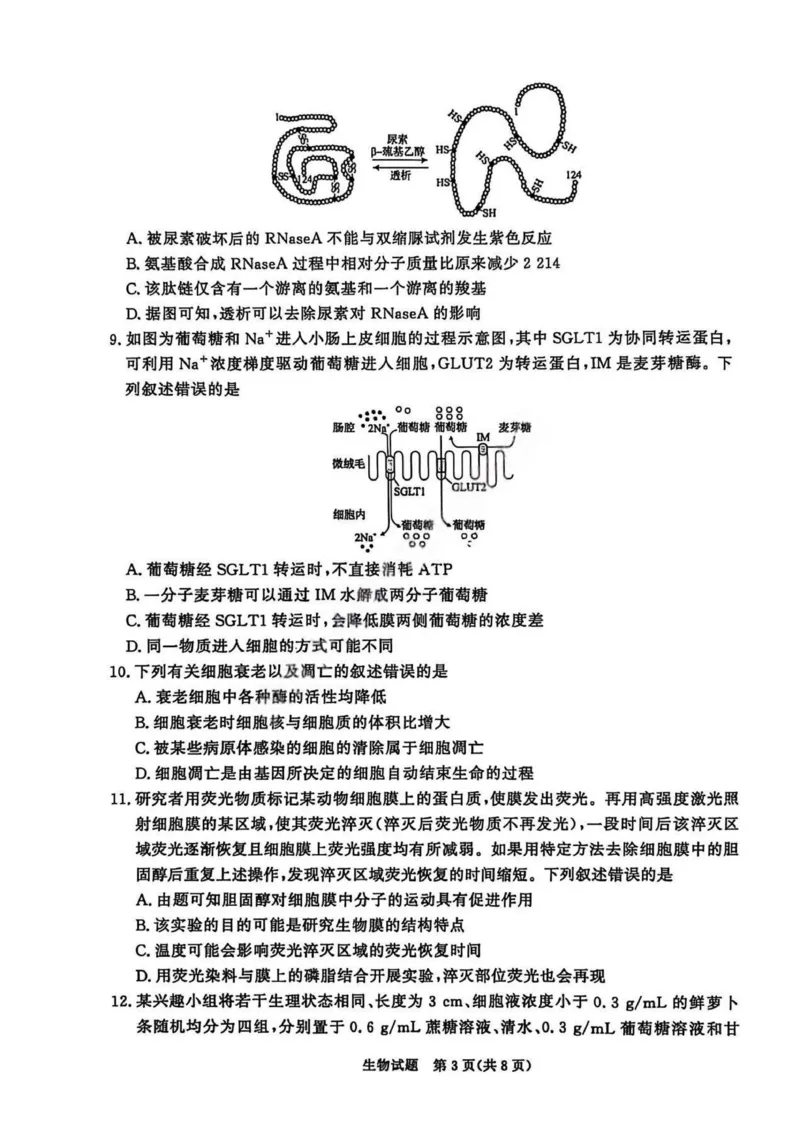 生物试卷_2026年02月高一试卷_260205青桐鸣大联考河南省普通高中2025-2026学年（上）高一年级期末考试（全）_河南省普通高中2025-2026学年（上）高一年级期末考试生物试题含答案