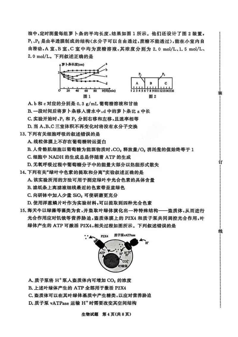 生物试卷_2026年02月高一试卷_260205青桐鸣大联考河南省普通高中2025-2026学年（上）高一年级期末考试（全）_河南省普通高中2025-2026学年（上）高一年级期末考试生物试题含答案