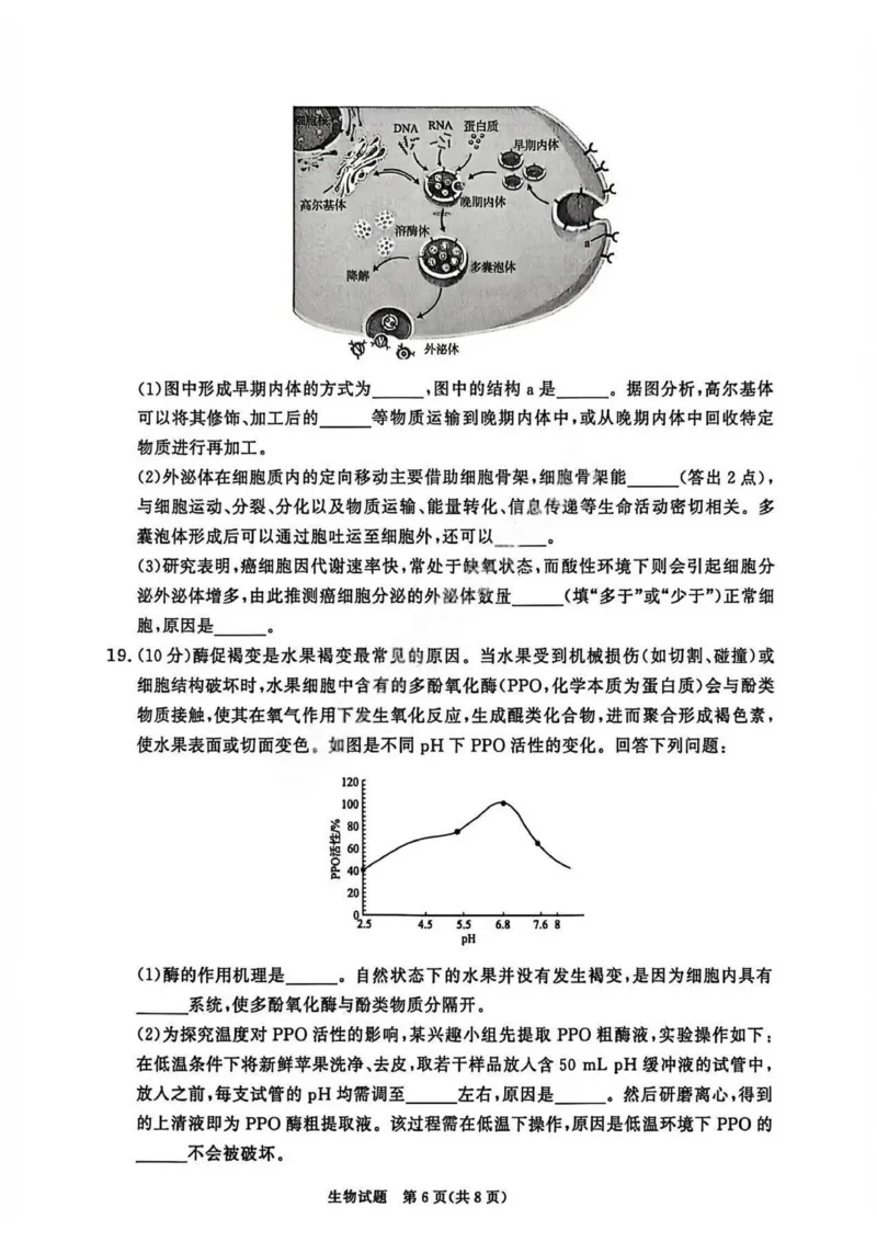 生物试卷_2026年02月高一试卷_260205青桐鸣大联考河南省普通高中2025-2026学年（上）高一年级期末考试（全）_河南省普通高中2025-2026学年（上）高一年级期末考试生物试题含答案