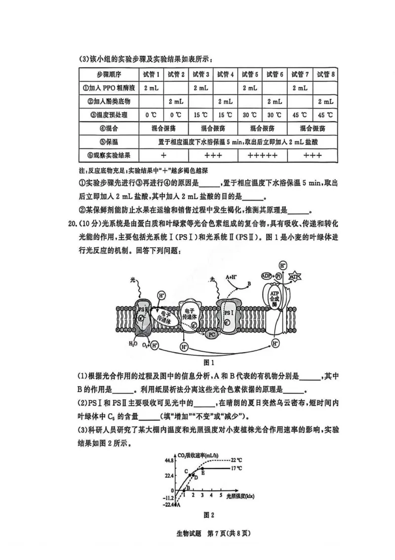 生物试卷_2026年02月高一试卷_260205青桐鸣大联考河南省普通高中2025-2026学年（上）高一年级期末考试（全）_河南省普通高中2025-2026学年（上）高一年级期末考试生物试题含答案