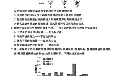 生物试卷_2026年02月高一试卷_260205青桐鸣大联考河南省普通高中2025-2026学年（上）高一年级期末考试（全）_河南省普通高中2025-2026学年（上）高一年级期末考试生物试题含答案