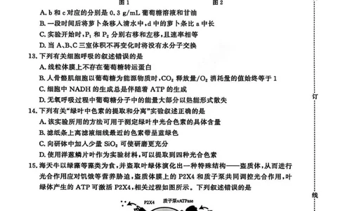 生物试卷_2026年02月高一试卷_260205青桐鸣大联考河南省普通高中2025-2026学年（上）高一年级期末考试（全）_河南省普通高中2025-2026学年（上）高一年级期末考试生物试题含答案
