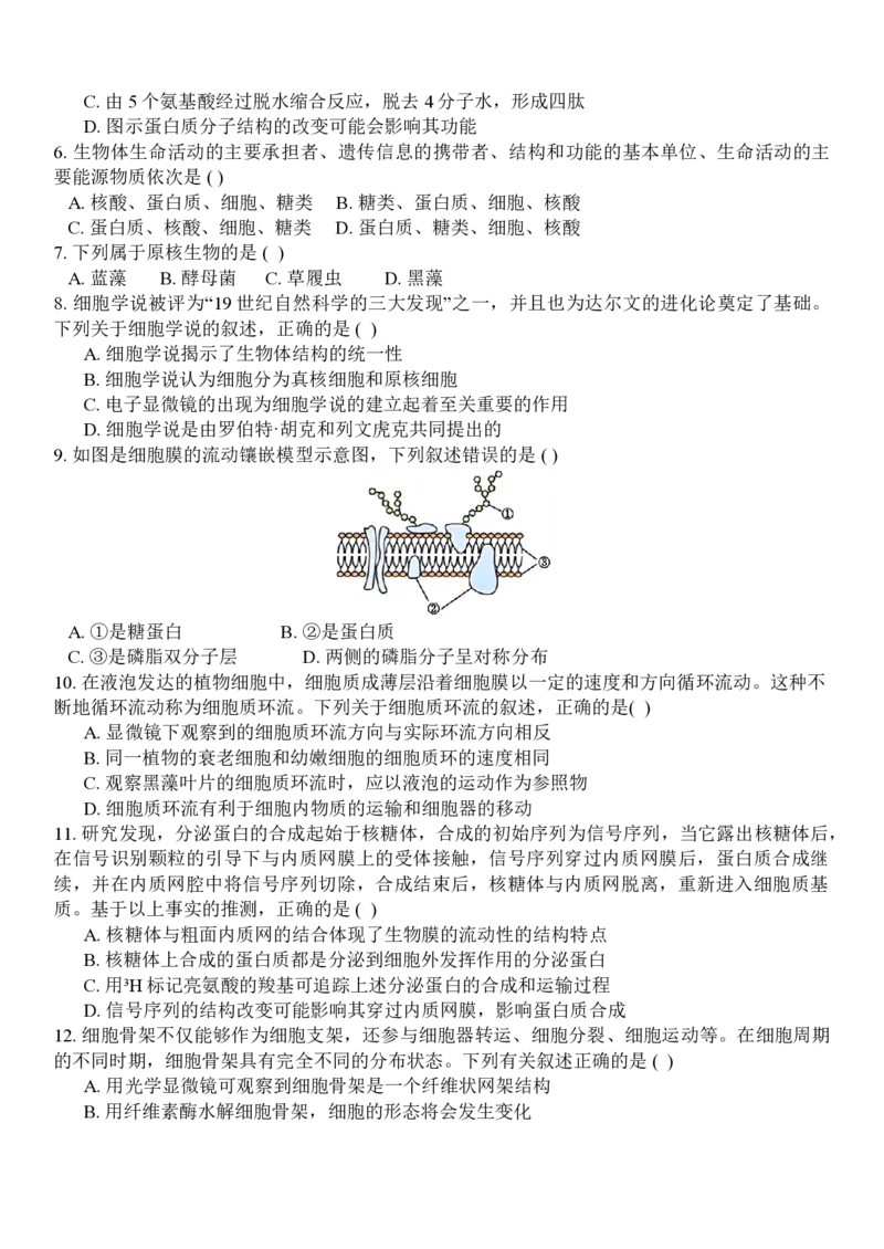 生物试题_2024年11月试卷_1126浙江省北斗联盟2024-2025学年高一期中联考_浙江省杭州市北斗联盟2024-2025学年高一上学期期中联考生物试题