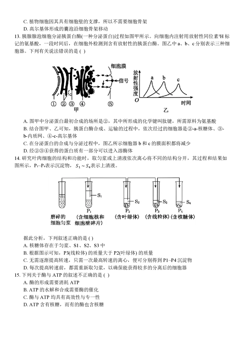 生物试题_2024年11月试卷_1126浙江省北斗联盟2024-2025学年高一期中联考_浙江省杭州市北斗联盟2024-2025学年高一上学期期中联考生物试题
