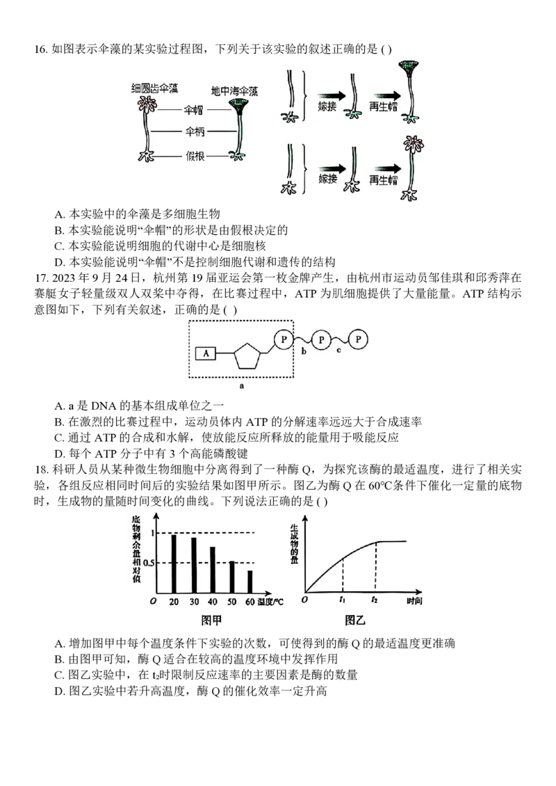 生物试题_2024年11月试卷_1126浙江省北斗联盟2024-2025学年高一期中联考_浙江省杭州市北斗联盟2024-2025学年高一上学期期中联考生物试题