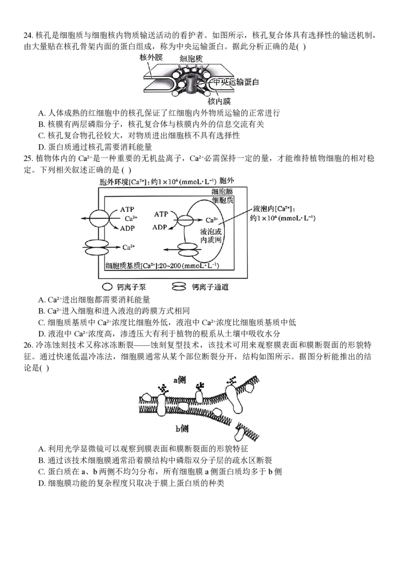生物试题_2024年11月试卷_1126浙江省北斗联盟2024-2025学年高一期中联考_浙江省杭州市北斗联盟2024-2025学年高一上学期期中联考生物试题