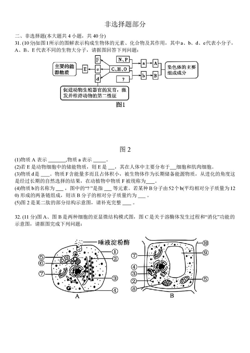 生物试题_2024年11月试卷_1126浙江省北斗联盟2024-2025学年高一期中联考_浙江省杭州市北斗联盟2024-2025学年高一上学期期中联考生物试题