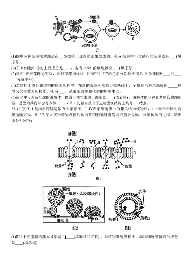 生物试题_2024年11月试卷_1126浙江省北斗联盟2024-2025学年高一期中联考_浙江省杭州市北斗联盟2024-2025学年高一上学期期中联考生物试题