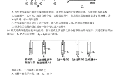生物试题_2024年11月试卷_1126浙江省北斗联盟2024-2025学年高一期中联考_浙江省杭州市北斗联盟2024-2025学年高一上学期期中联考生物试题