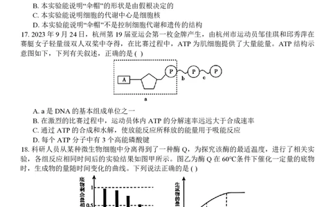 生物试题_2024年11月试卷_1126浙江省北斗联盟2024-2025学年高一期中联考_浙江省杭州市北斗联盟2024-2025学年高一上学期期中联考生物试题
