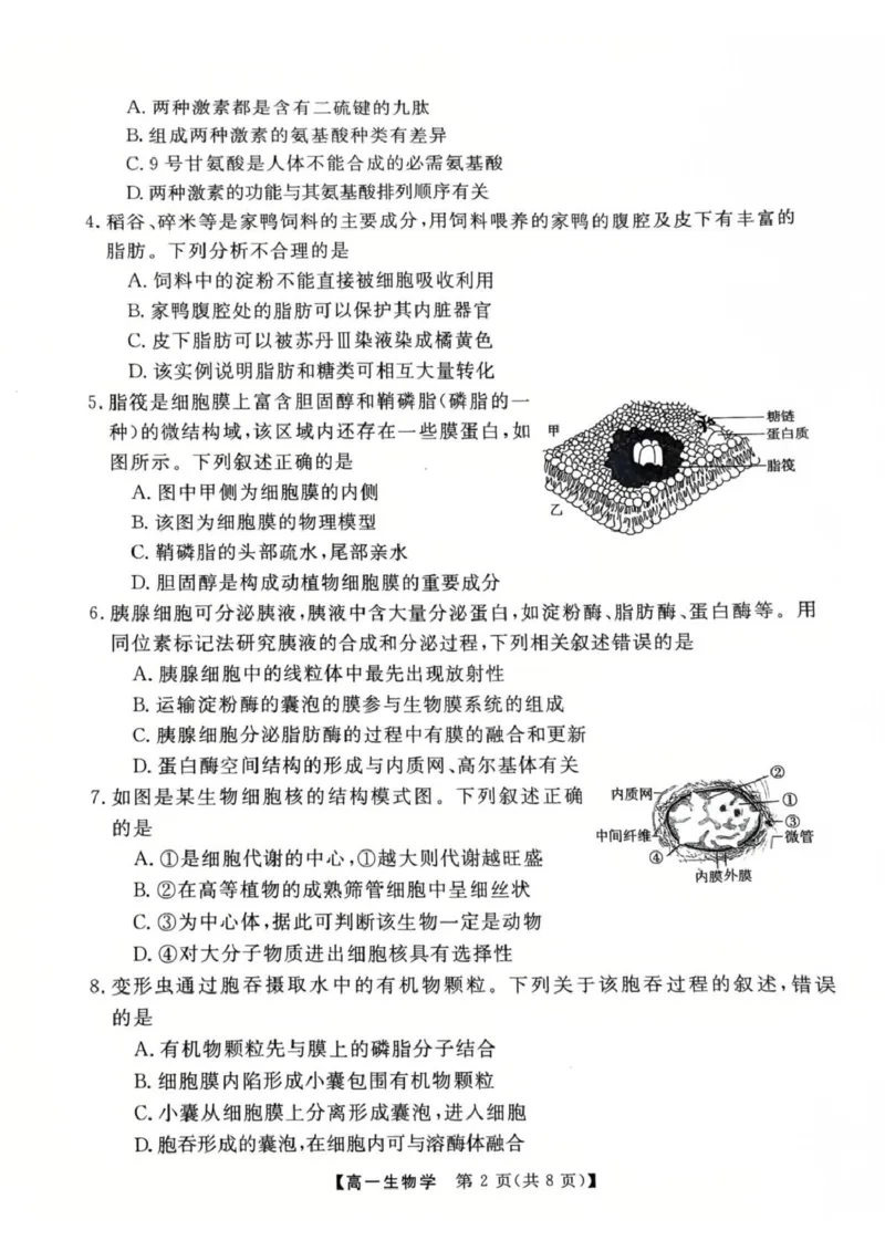 生物高一上学期期末考试试卷_2025年03月试卷_0304广东省茂名市高州市2024-2025学年高一上学期1月期末考试_广东省茂名市高州市2024-2025学年高一上学期1月期末考试生物PDF版含答案