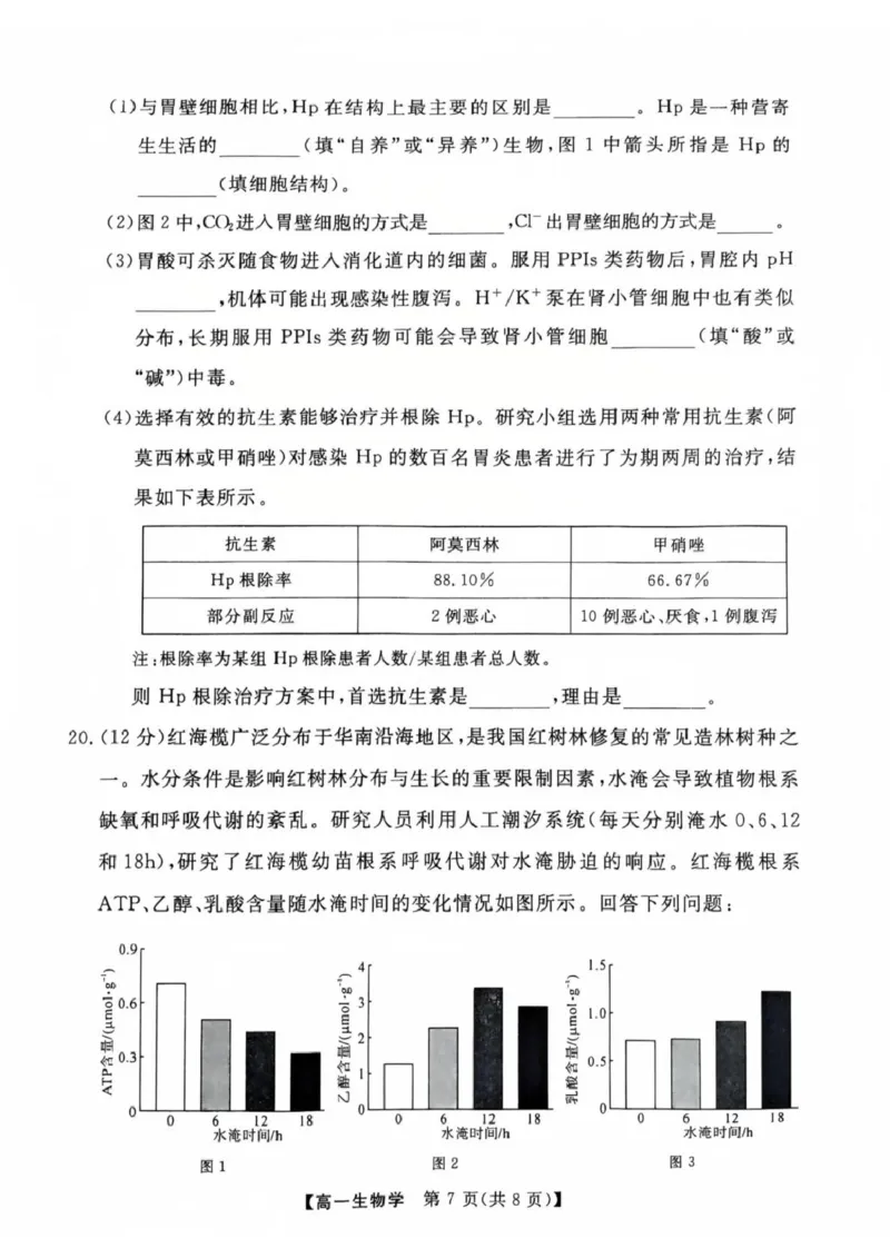 生物高一上学期期末考试试卷_2025年03月试卷_0304广东省茂名市高州市2024-2025学年高一上学期1月期末考试_广东省茂名市高州市2024-2025学年高一上学期1月期末考试生物PDF版含答案