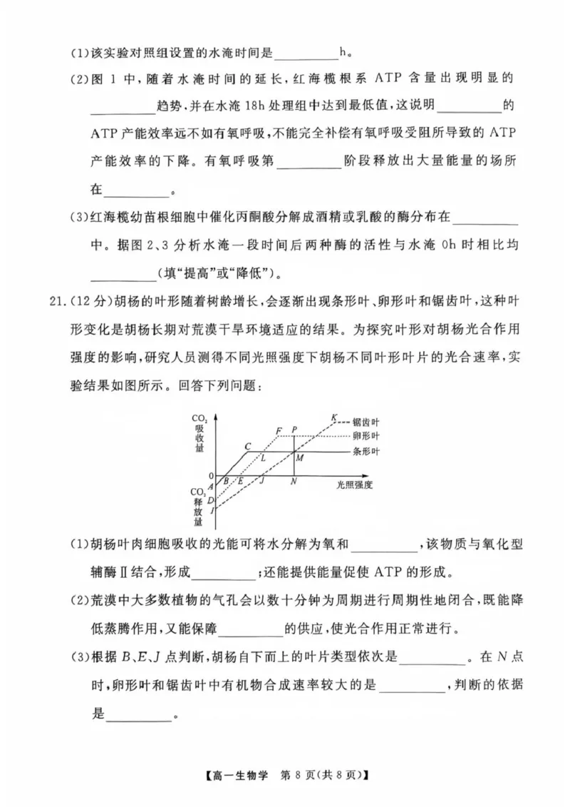 生物高一上学期期末考试试卷_2025年03月试卷_0304广东省茂名市高州市2024-2025学年高一上学期1月期末考试_广东省茂名市高州市2024-2025学年高一上学期1月期末考试生物PDF版含答案