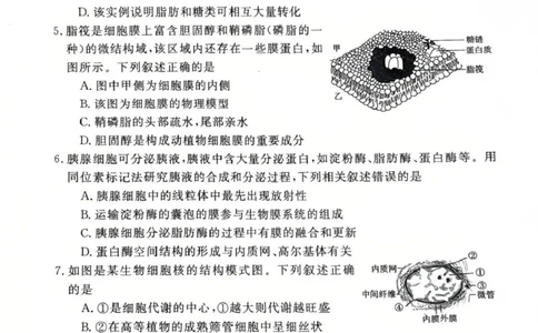 生物高一上学期期末考试试卷_2025年03月试卷_0304广东省茂名市高州市2024-2025学年高一上学期1月期末考试_广东省茂名市高州市2024-2025学年高一上学期1月期末考试生物PDF版含答案
