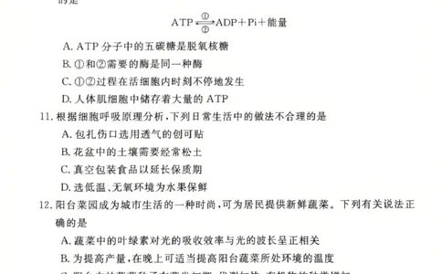 生物高一上学期期末考试试卷_2025年03月试卷_0304广东省茂名市高州市2024-2025学年高一上学期1月期末考试_广东省茂名市高州市2024-2025学年高一上学期1月期末考试生物PDF版含答案