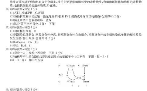 生物-26年高一期中(乙)答案_2025年04月试卷_0422安徽皖南八校&rdquo;2024-2025学年高一第二学期期中考试_安徽省皖南八校2024-2025学年高一下学期4月期中生物(乙)