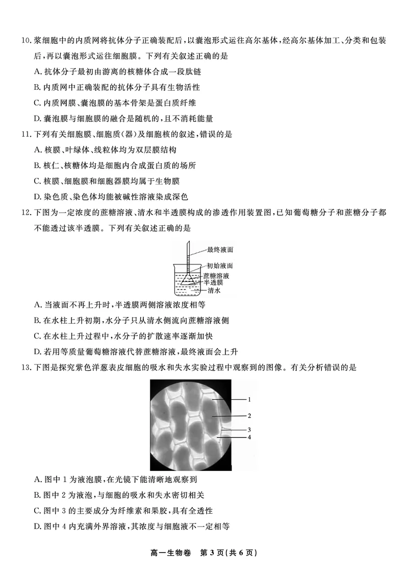 生物试题&middot;2025年12月高一阶段考_2025年12月高一试卷_251227安徽省皖江名校联盟2025-2026学年高一上学期12月联考（全科）
