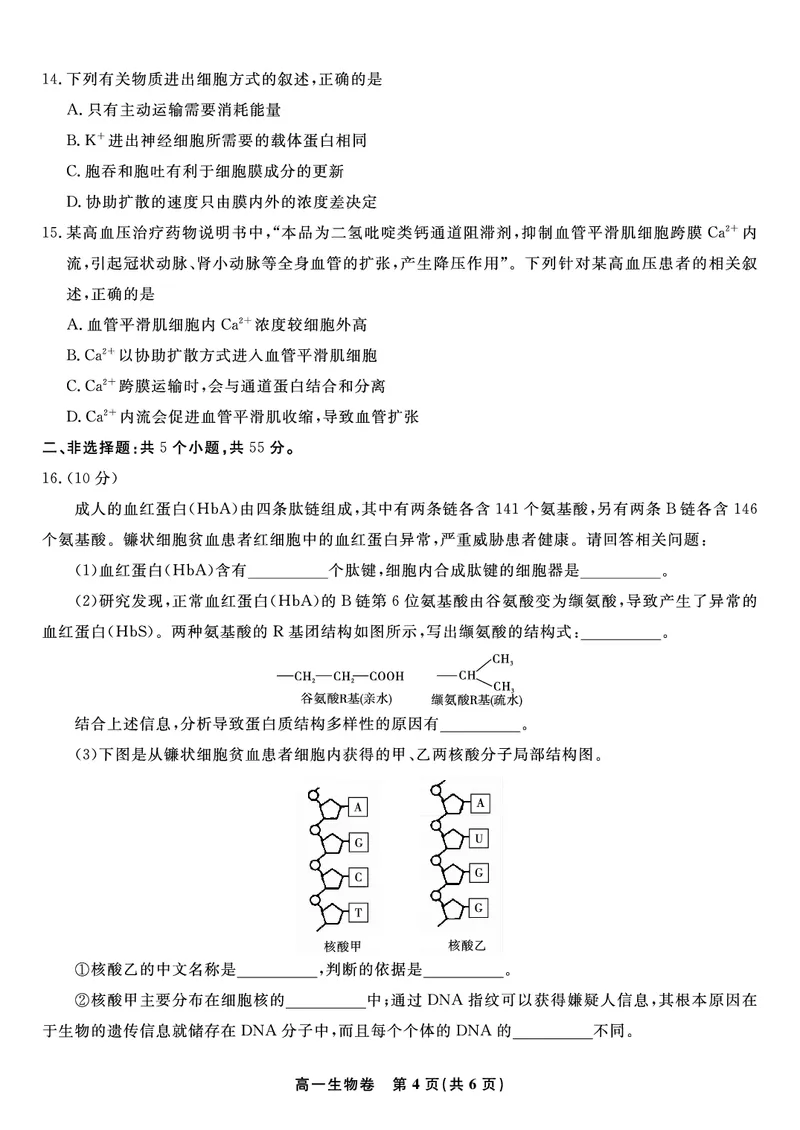 生物试题&middot;2025年12月高一阶段考_2025年12月高一试卷_251227安徽省皖江名校联盟2025-2026学年高一上学期12月联考（全科）