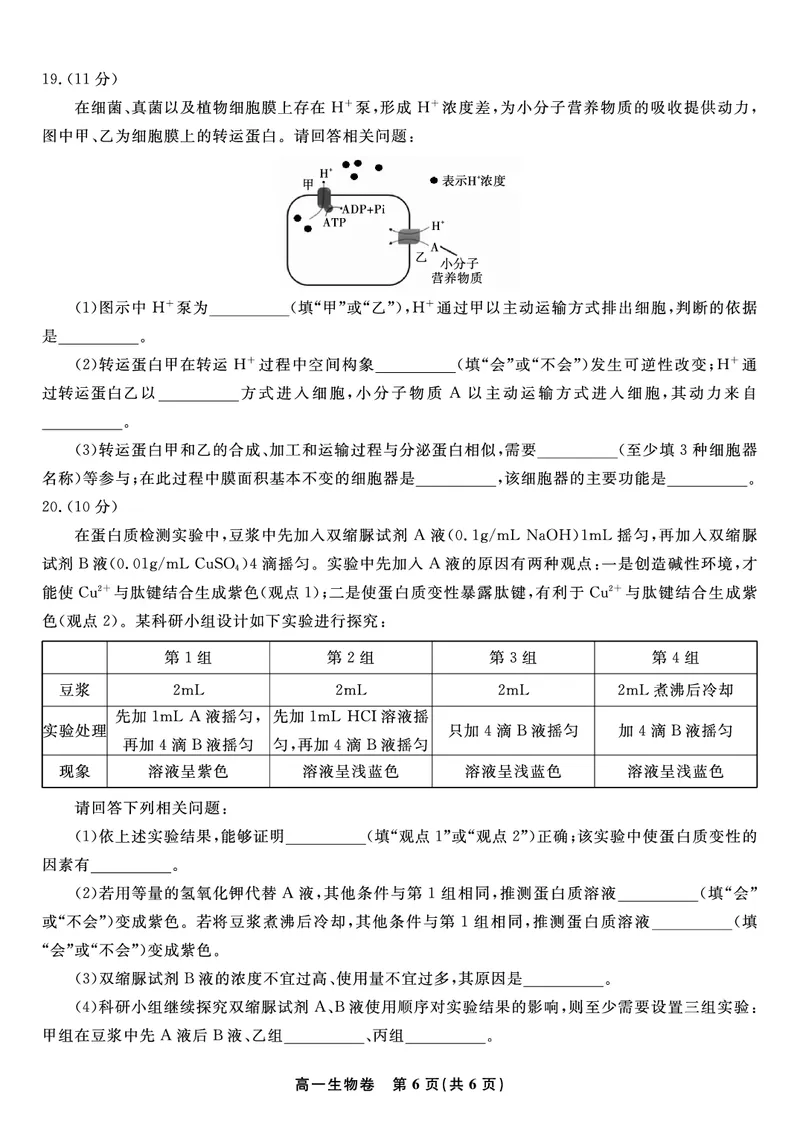 生物试题&middot;2025年12月高一阶段考_2025年12月高一试卷_251227安徽省皖江名校联盟2025-2026学年高一上学期12月联考（全科）