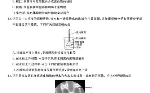 生物试题&middot;2025年12月高一阶段考_2025年12月高一试卷_251227安徽省皖江名校联盟2025-2026学年高一上学期12月联考（全科）