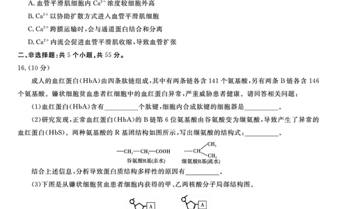 生物试题&middot;2025年12月高一阶段考_2025年12月高一试卷_251227安徽省皖江名校联盟2025-2026学年高一上学期12月联考（全科）