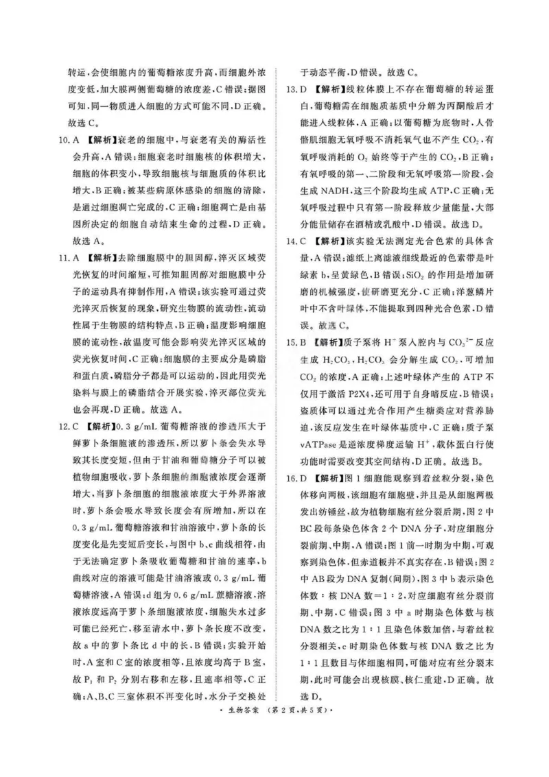 生物答案_2026年02月高一试卷_260205青桐鸣大联考河南省普通高中2025-2026学年（上）高一年级期末考试（全）_河南省普通高中2025-2026学年（上）高一年级期末考试生物试题含答案