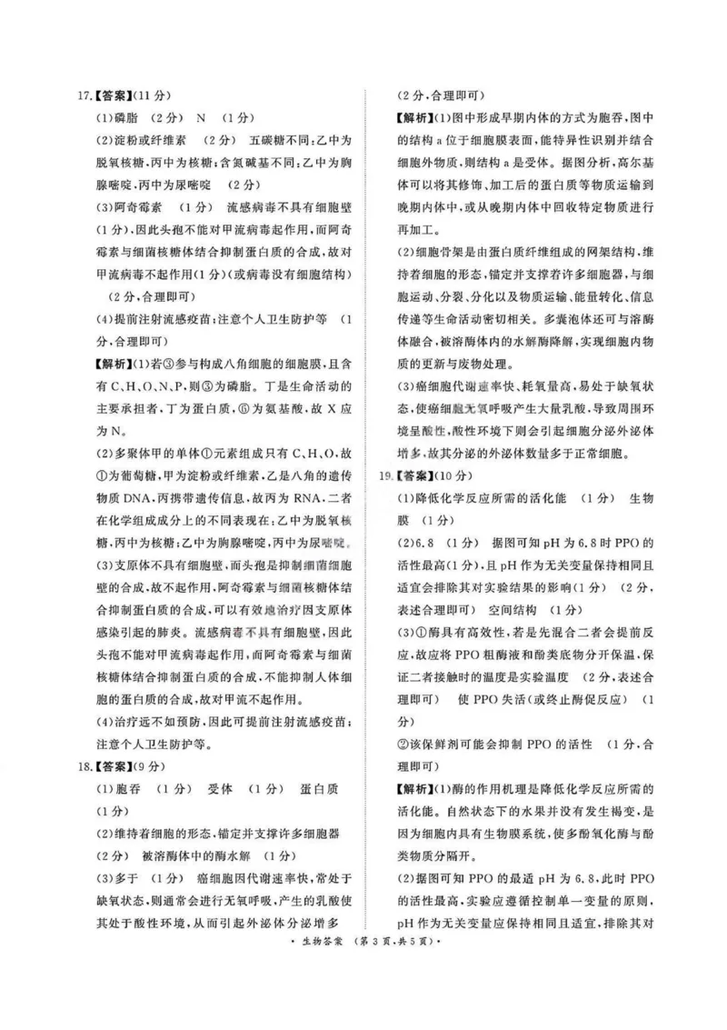 生物答案_2026年02月高一试卷_260205青桐鸣大联考河南省普通高中2025-2026学年（上）高一年级期末考试（全）_河南省普通高中2025-2026学年（上）高一年级期末考试生物试题含答案