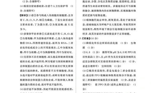 生物答案_2026年02月高一试卷_260205青桐鸣大联考河南省普通高中2025-2026学年（上）高一年级期末考试（全）_河南省普通高中2025-2026学年（上）高一年级期末考试生物试题含答案