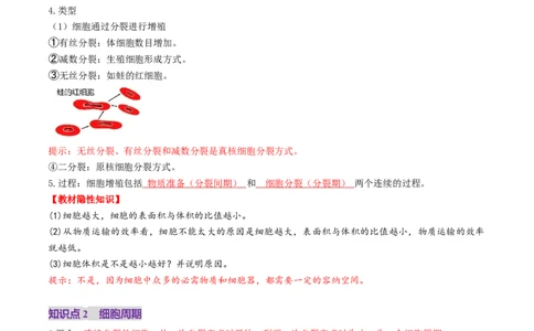 第12讲细胞增殖（讲义）（解析版）_新高考复习资料_2025年新高考资料_2025年高考生物一轮复习讲练测（新教材新高考）