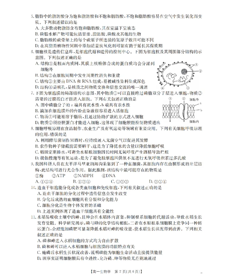 生物学_扫描版_2026年03月高一试卷_260325河北省金太阳2025-2026学年高一下学期3月开学联考试题