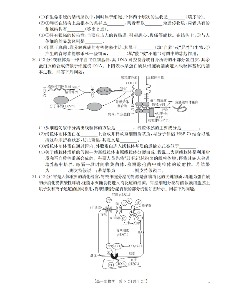 生物学_扫描版_2026年03月高一试卷_260325河北省金太阳2025-2026学年高一下学期3月开学联考试题