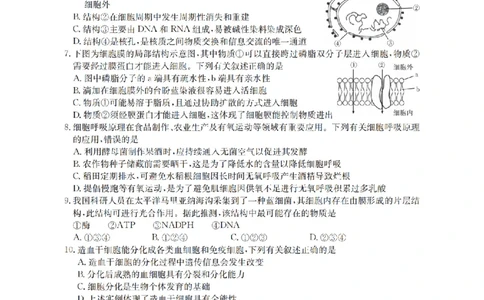 生物学_扫描版_2026年03月高一试卷_260325河北省金太阳2025-2026学年高一下学期3月开学联考试题