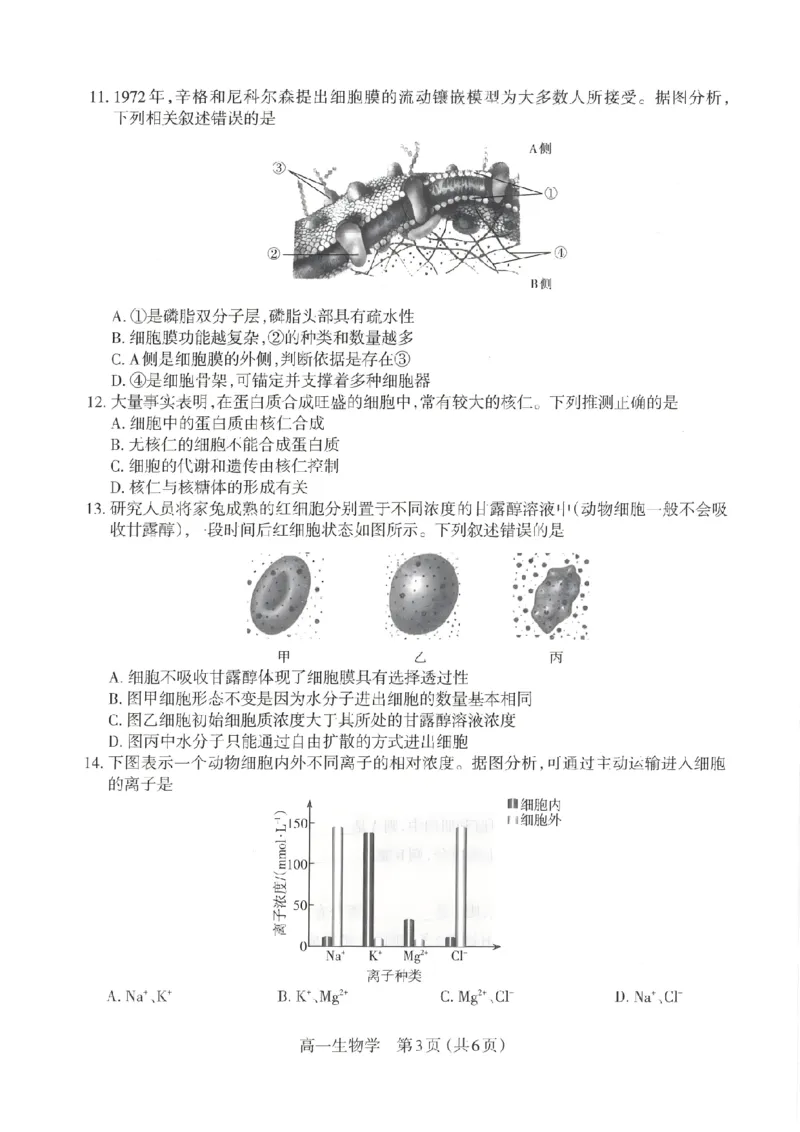 生物太原市2025-2026学年第一学期高一年级期中学业诊断_2025年11月高一试卷_251125山西太原市2025-2026学年第一学期高一年级期中学业诊断（全）