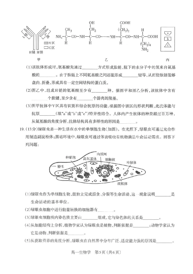 生物太原市2025-2026学年第一学期高一年级期中学业诊断_2025年11月高一试卷_251125山西太原市2025-2026学年第一学期高一年级期中学业诊断（全）