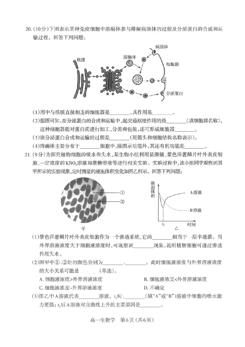 生物太原市2025-2026学年第一学期高一年级期中学业诊断_2025年11月高一试卷_251125山西太原市2025-2026学年第一学期高一年级期中学业诊断（全）