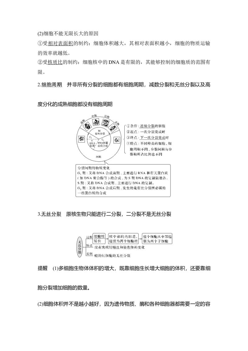 第10讲细胞的增殖_通用版（老高考）复习资料_2023年复习资料_一轮复习_2023年高考生物一轮复习讲义+课件（全国版）_2023年高考生物一轮复习讲义（全国版）_赠补充习题