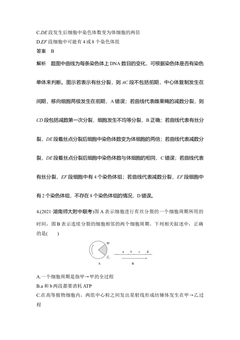 第10讲细胞的增殖_通用版（老高考）复习资料_2023年复习资料_一轮复习_2023年高考生物一轮复习讲义+课件（全国版）_2023年高考生物一轮复习讲义（全国版）_赠补充习题