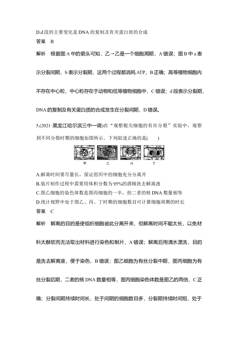 第10讲细胞的增殖_通用版（老高考）复习资料_2023年复习资料_一轮复习_2023年高考生物一轮复习讲义+课件（全国版）_2023年高考生物一轮复习讲义（全国版）_赠补充习题