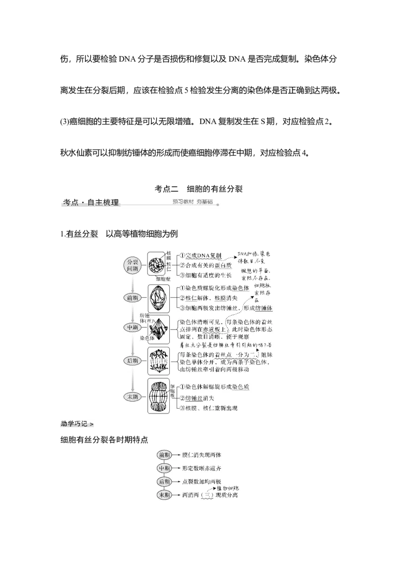 第10讲细胞的增殖_通用版（老高考）复习资料_2023年复习资料_一轮复习_2023年高考生物一轮复习讲义+课件（全国版）_2023年高考生物一轮复习讲义（全国版）_赠补充习题