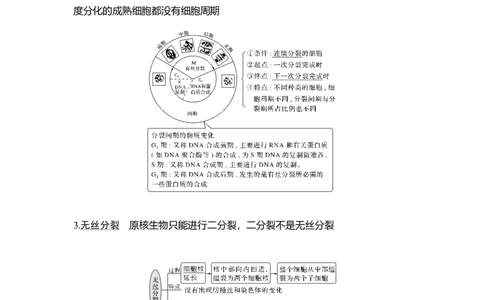 第10讲细胞的增殖_通用版（老高考）复习资料_2023年复习资料_一轮复习_2023年高考生物一轮复习讲义+课件（全国版）_2023年高考生物一轮复习讲义（全国版）_赠补充习题