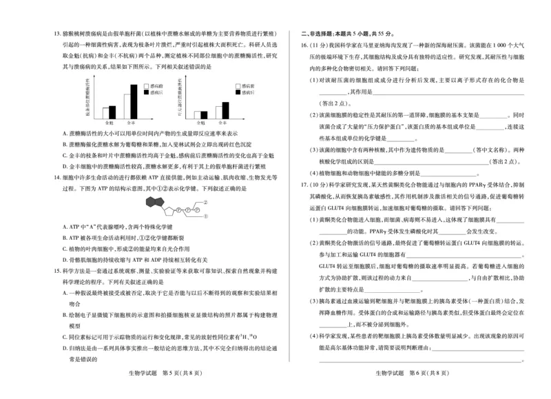 生物学安徽高一12月测_2025年12月高一试卷_251227安徽省（合肥六中）特色高中教研联谊会联考2025-2026学年高一上学期12月月考（全科）