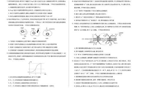生物学安徽高一12月测_2025年12月高一试卷_251227安徽省（合肥六中）特色高中教研联谊会联考2025-2026学年高一上学期12月月考（全科）