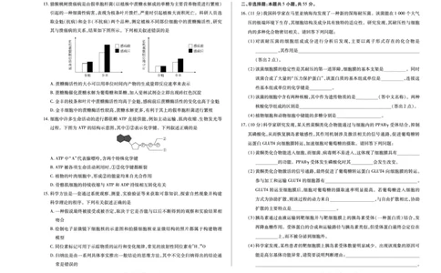 生物学安徽高一12月测_2025年12月高一试卷_251227安徽省（合肥六中）特色高中教研联谊会联考2025-2026学年高一上学期12月月考（全科）