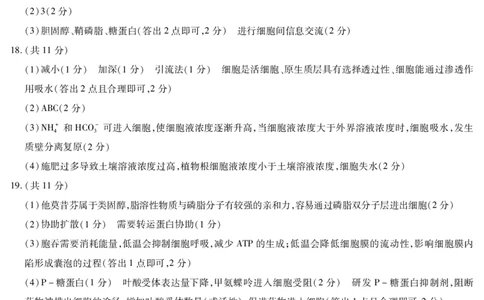 生物A卷-高一二联简易答案_2026年01月高一试卷_260113河南省豫北名校2025-2026学年高一上学期阶段性测试（二）_河南省豫北名校2025-2026学年高一上学期阶段性测试(二)生物试题A含答案