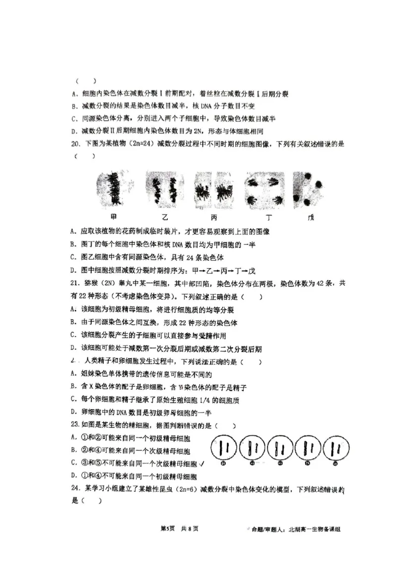 生物25.3石室中学高一下3月月考_2025年04月试卷_0418四川省成都市石室中学2024-2025学年高一下学期3月月考