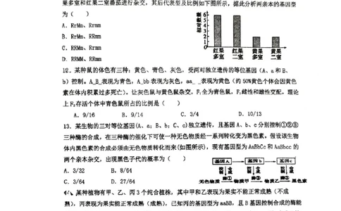 生物25.3石室中学高一下3月月考_2025年04月试卷_0418四川省成都市石室中学2024-2025学年高一下学期3月月考