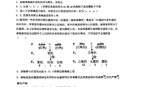 生物25.3石室中学高一下3月月考_2025年04月试卷_0418四川省成都市石室中学2024-2025学年高一下学期3月月考