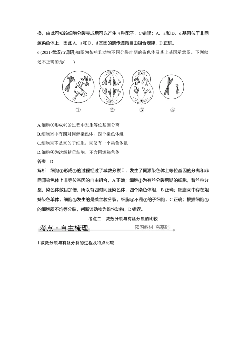 第11讲　减数分裂和受精作用_新高考复习资料_2023年新高考复习资料_一轮复习_2023年新高考大一轮复习讲义_2023年高考生物一轮复习讲义（新人教新高考）_赠补充习题