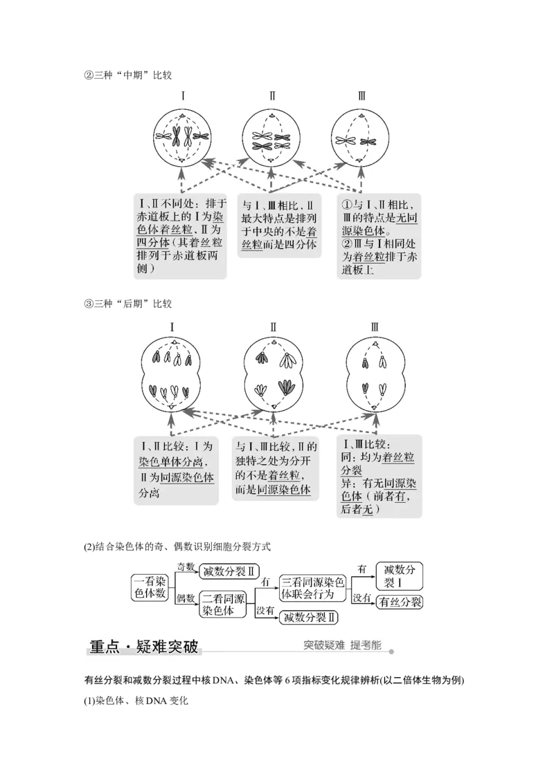 第11讲　减数分裂和受精作用_新高考复习资料_2023年新高考复习资料_一轮复习_2023年新高考大一轮复习讲义_2023年高考生物一轮复习讲义（新人教新高考）_赠补充习题