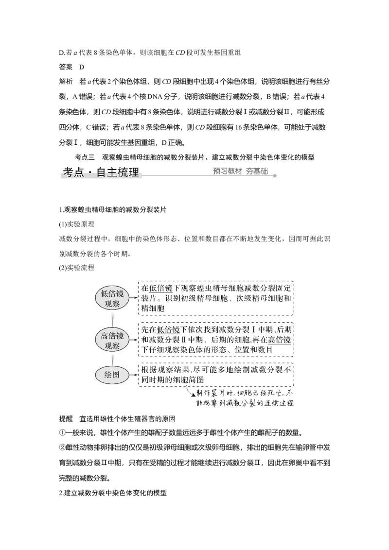 第11讲　减数分裂和受精作用_新高考复习资料_2023年新高考复习资料_一轮复习_2023年新高考大一轮复习讲义_2023年高考生物一轮复习讲义（新人教新高考）_赠补充习题